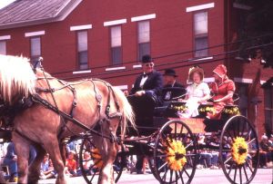 NBHA slides1568